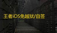 王者iOS免越狱/自签【土豆】辅助